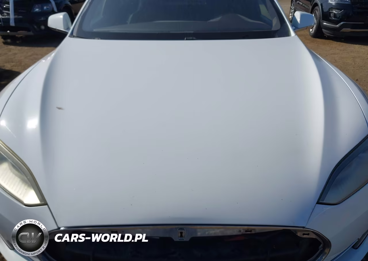2015 Tesla Model S 70D-85D-P85D VIN:5YJSA1H28FFP78218 - 10