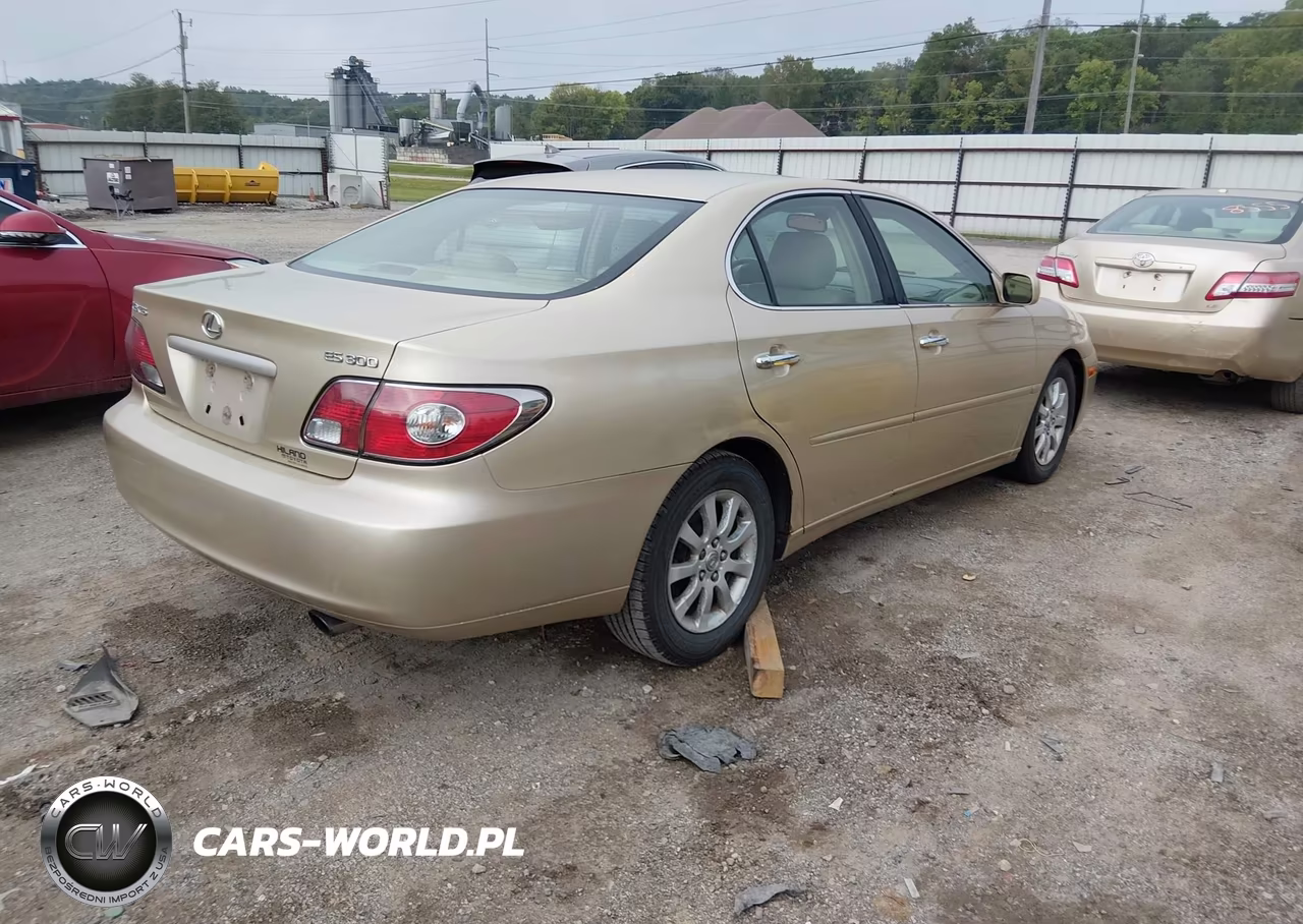 2002 Lexus Es 300 VIN:JTHBF30G620031177 - 4