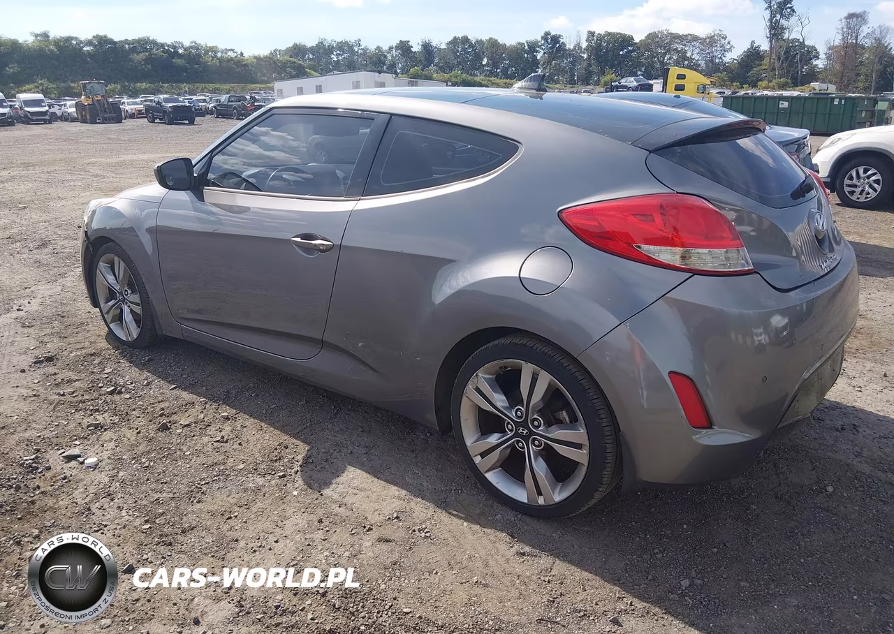 2013 Hyundai Veloster Base W-Black VIN:KMHTC6AD9DU100083 - 3