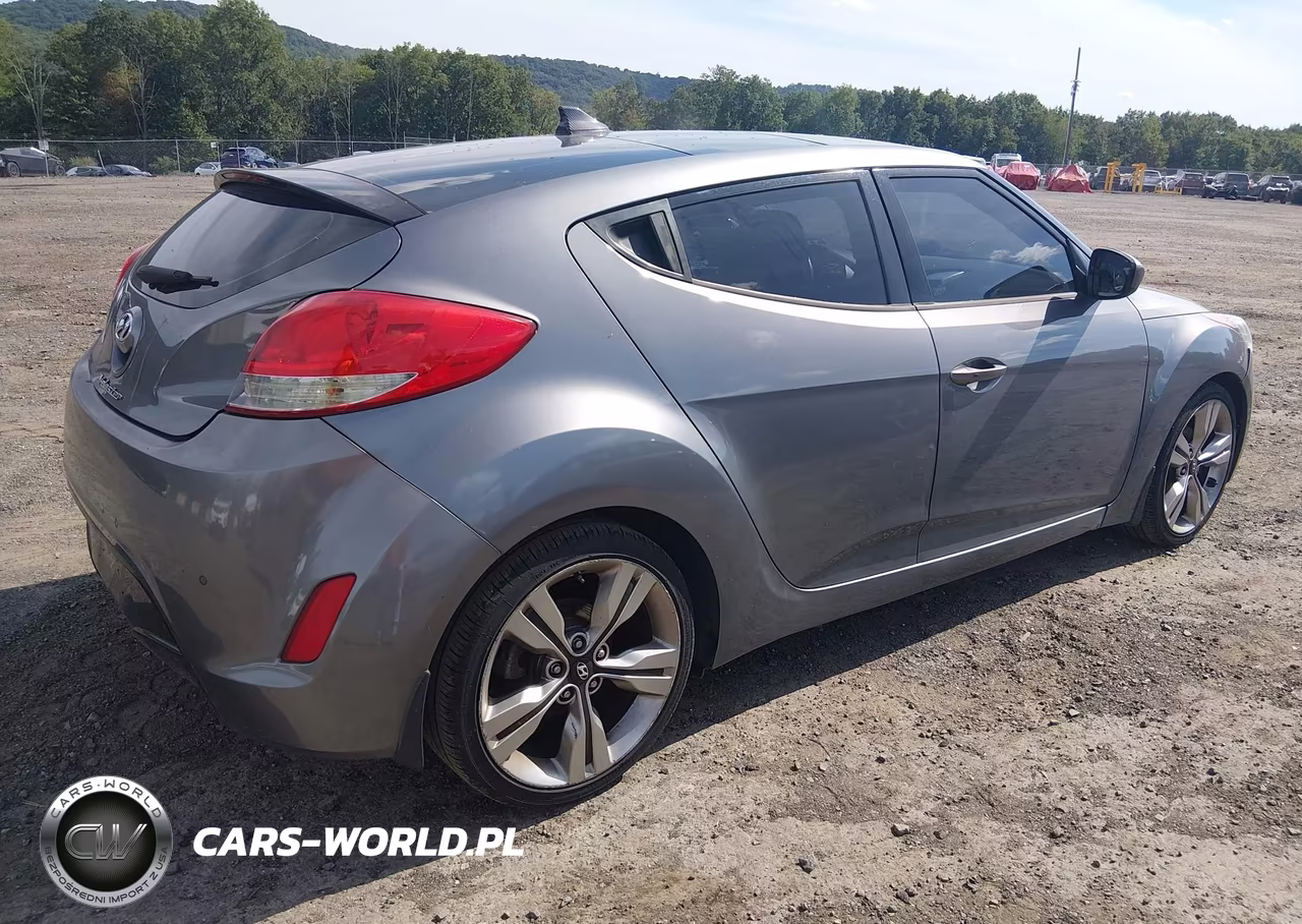 2013 Hyundai Veloster Base W-Black VIN:KMHTC6AD9DU100083 - 4