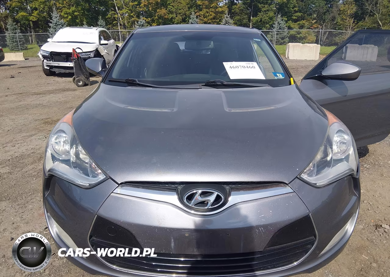 2013 Hyundai Veloster Base W-Black VIN:KMHTC6AD9DU100083 - 6