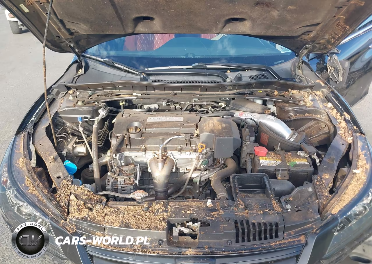 2013 Honda Accord Sport VIN:1HGCR2E50DA072160 - 10