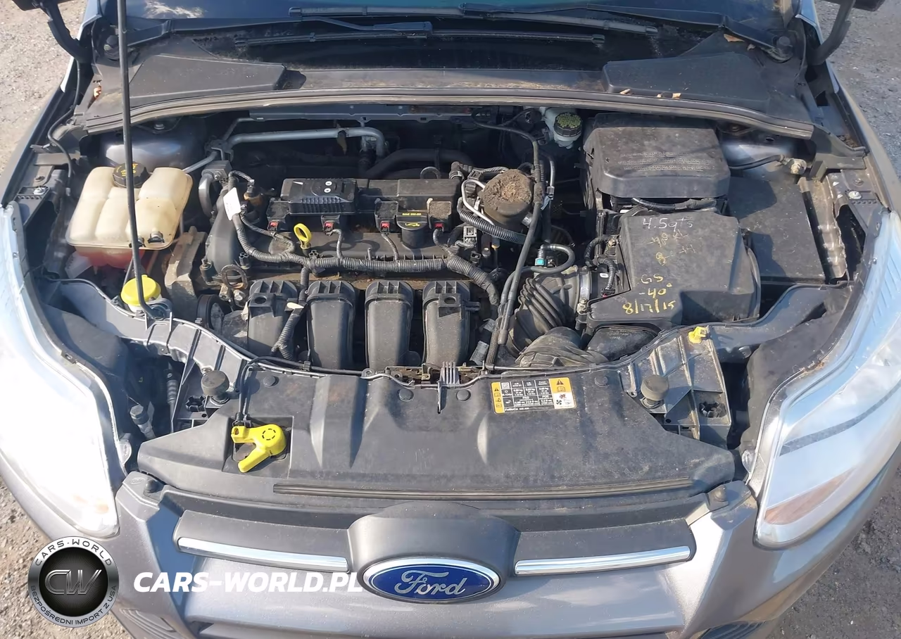 2014 Ford Focus Se VIN:1FADP3F21EL359277 - 10