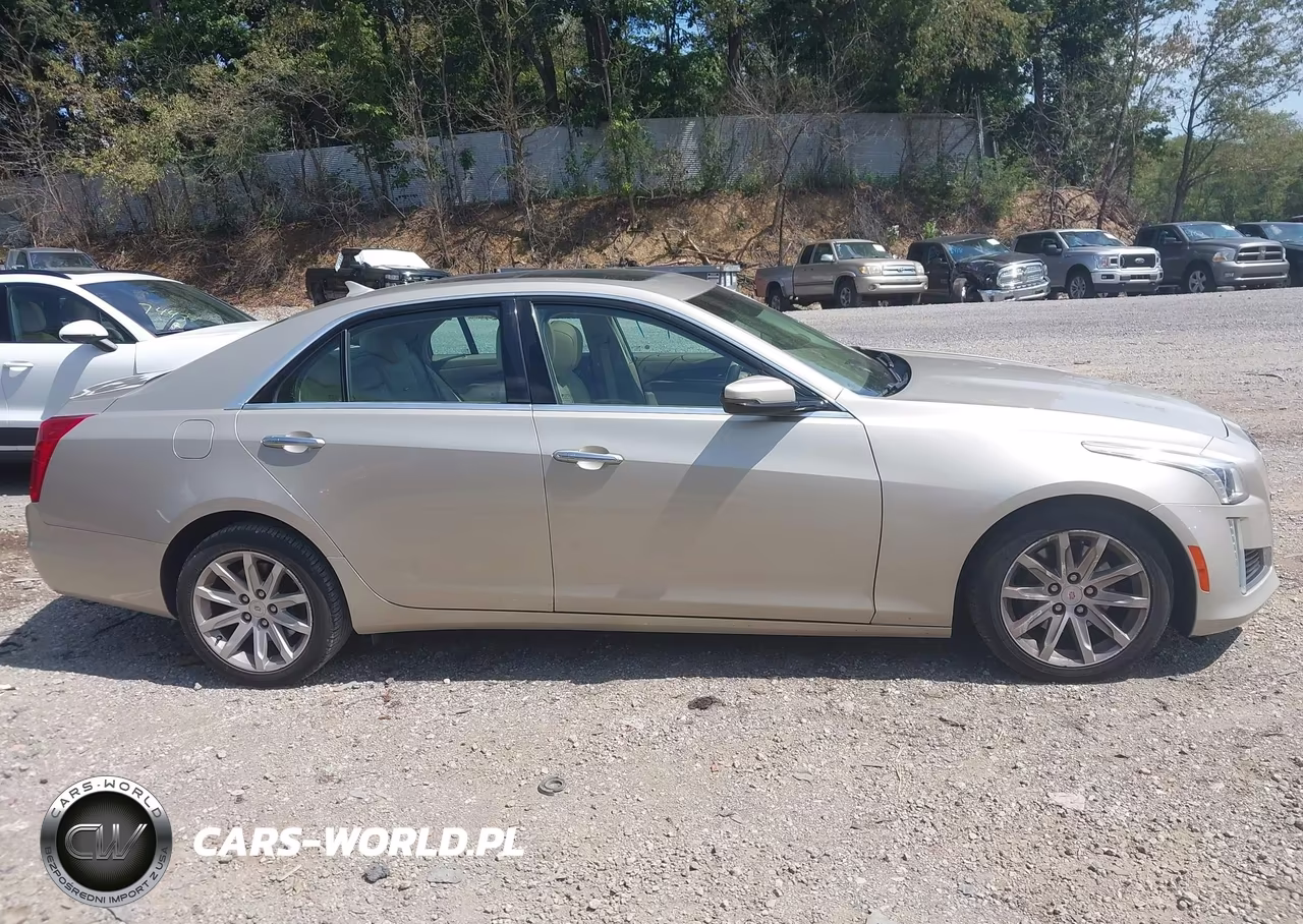2014 Cadillac Cts Luxury VIN:1G6AX5SXXE0180816 - 13