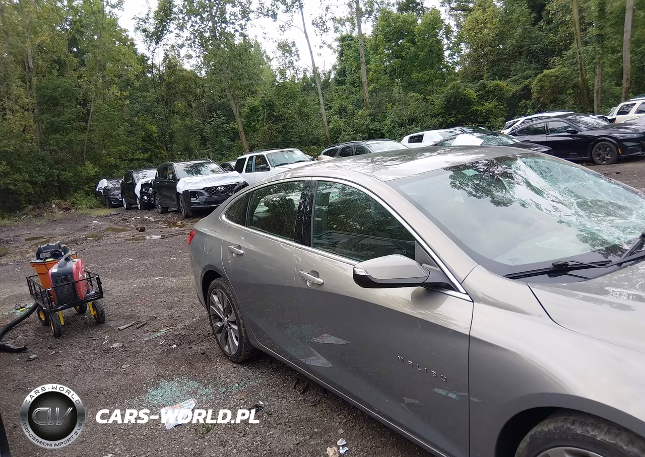 2018 Chevrolet Malibu Premier VIN:1G1ZE5SX7JF164725 - 13