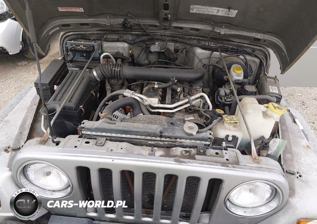2002 Jeep Wrangler Sport VIN:1J4FA49S92P712949 - 10
