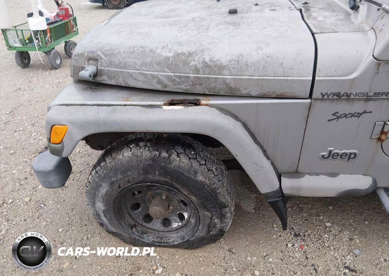 2002 Jeep Wrangler Sport VIN:1J4FA49S92P712949 - 12