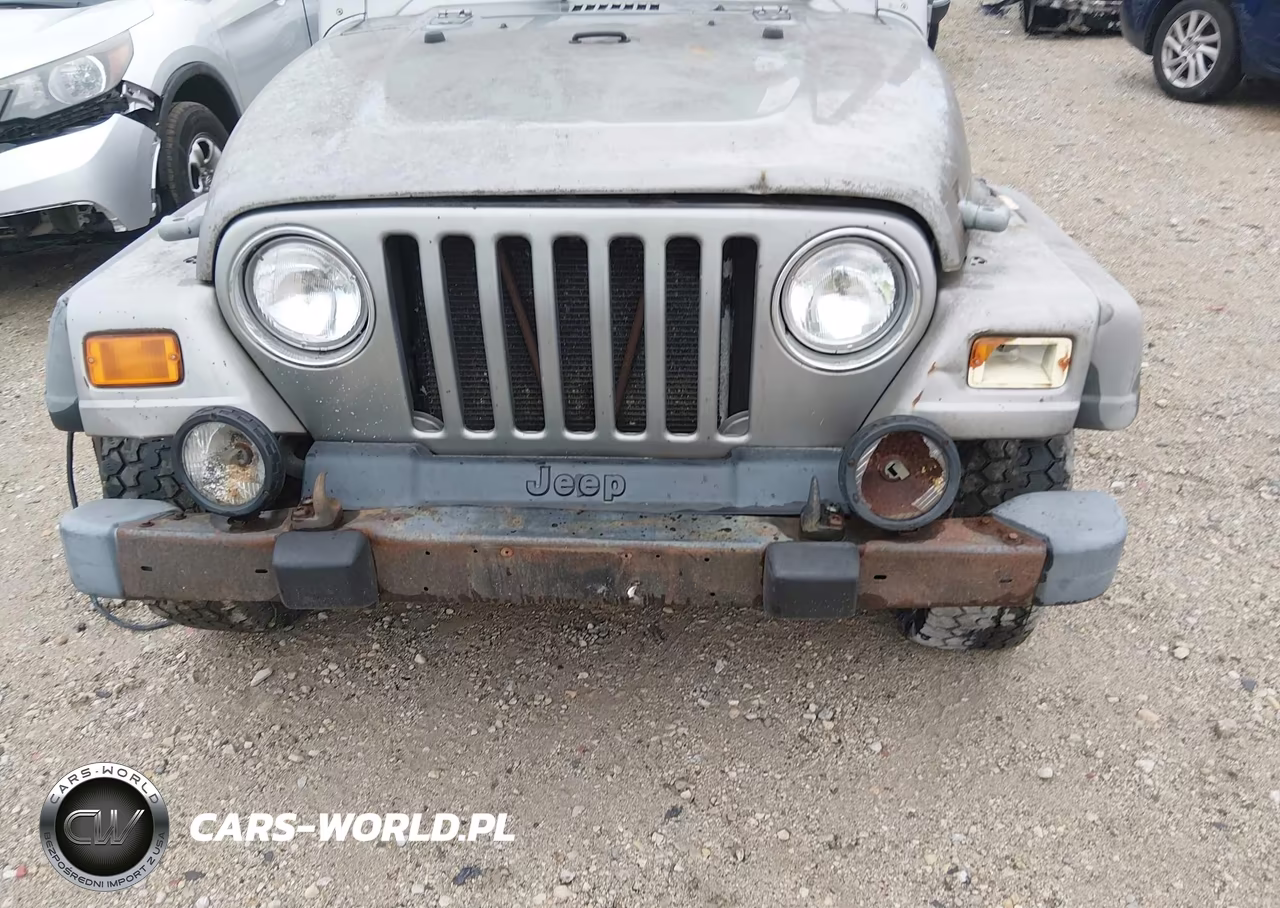 2002 Jeep Wrangler Sport VIN:1J4FA49S92P712949 - 13