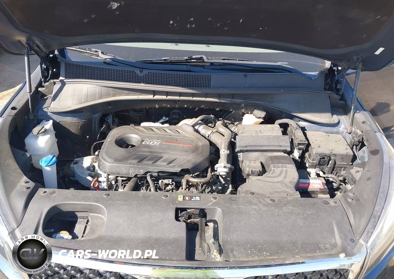 2016 Kia Sorento 2.0T Ex VIN:5XYPHDA12GG031065 - 10