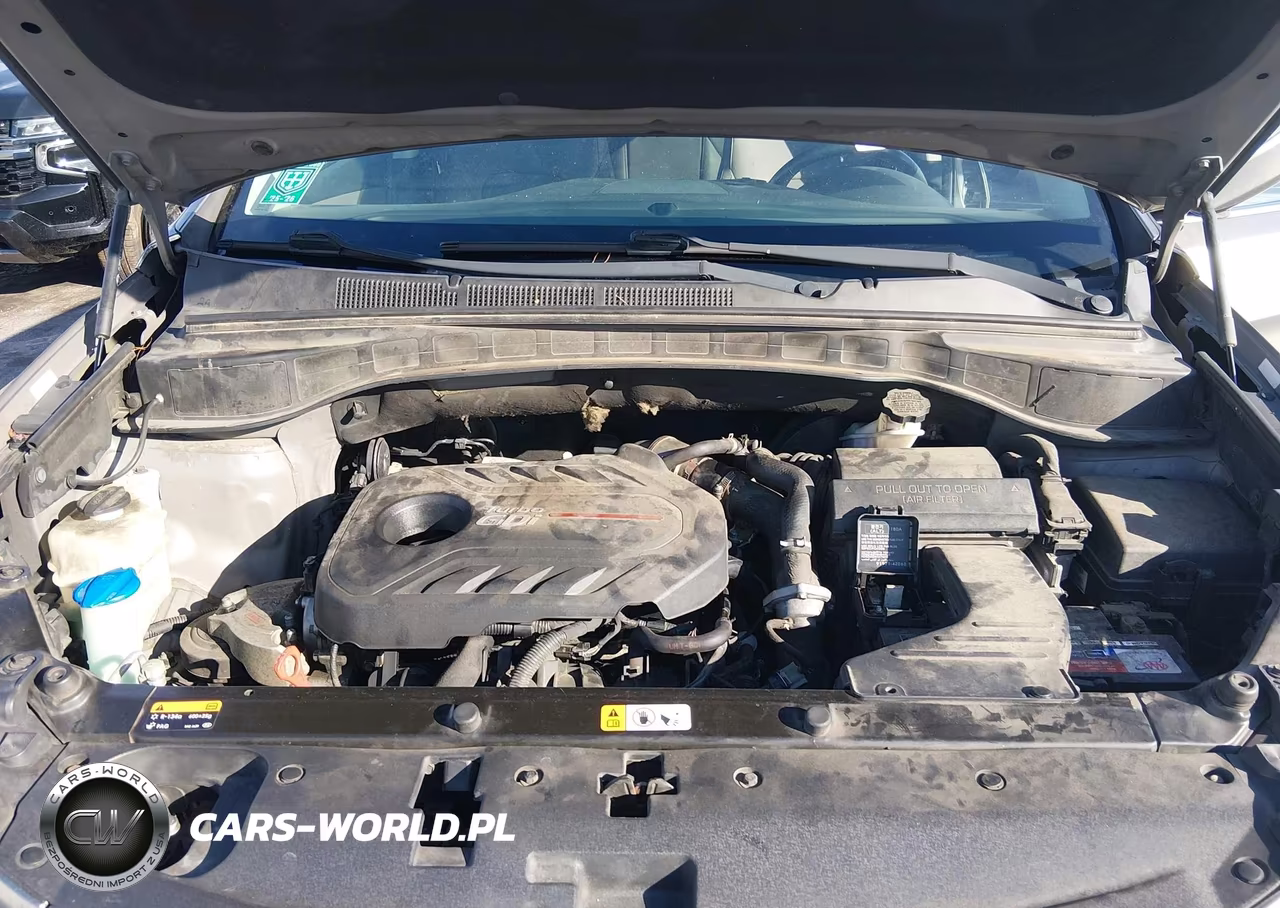 2017 Hyundai Santa Fe Sport 2.0T Ultimate VIN:5XYZWDLA4HG502193 - 10