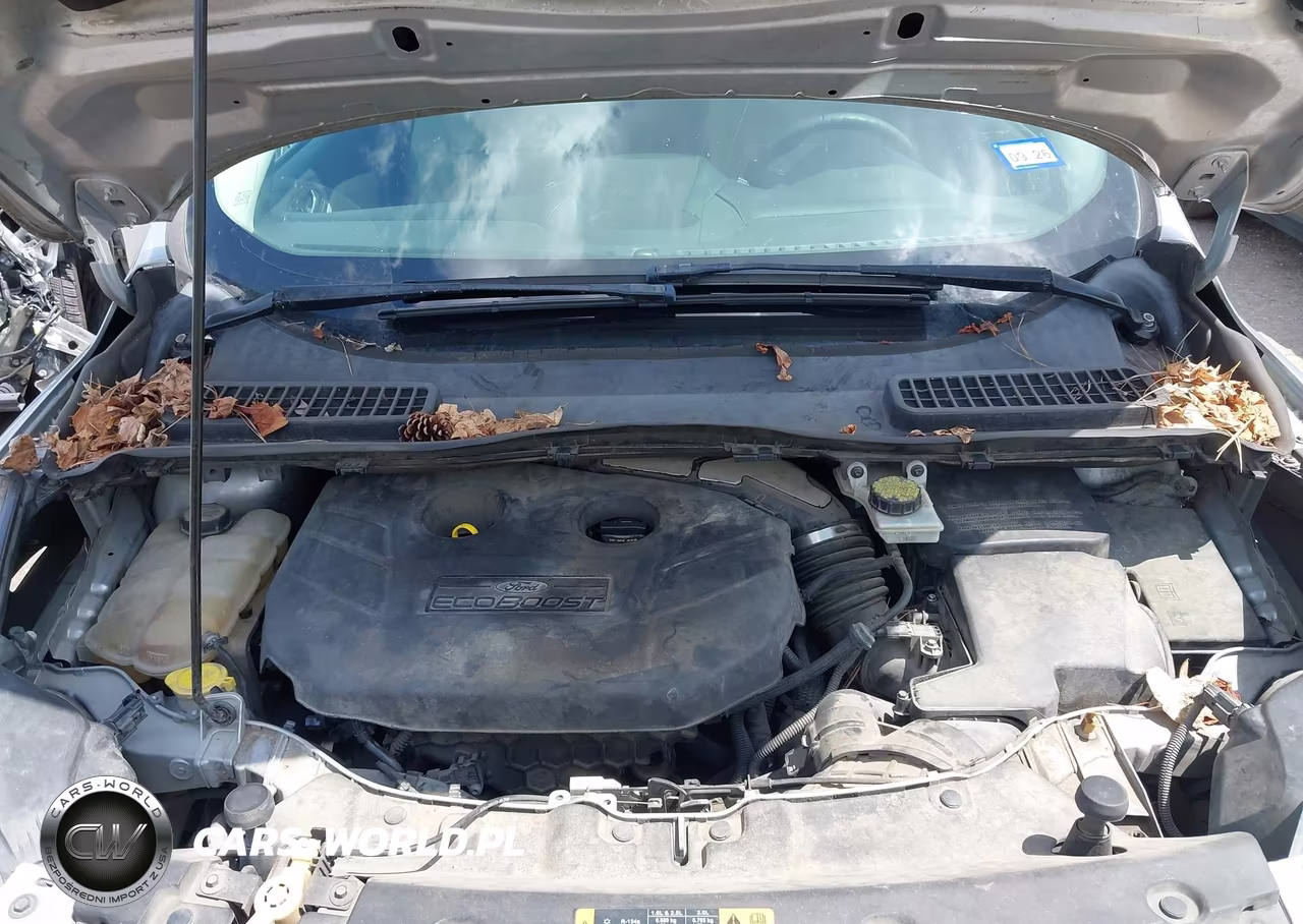 2013 Ford Escape Se VIN:1FMCU0G99DUA80589 - 10
