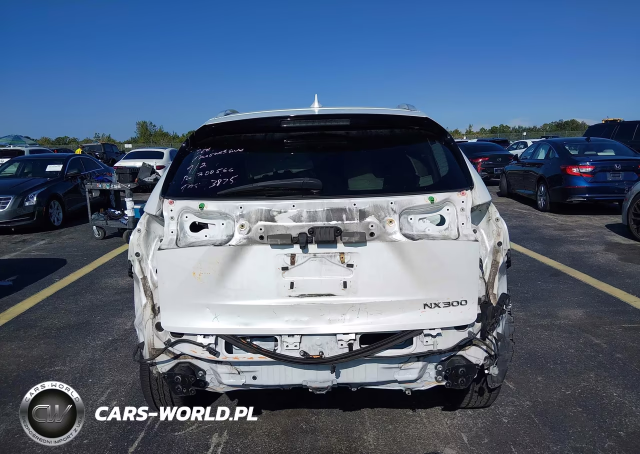 2018 Lexus Nx 300 VIN:JTJYARBZ3J2096872 - 17