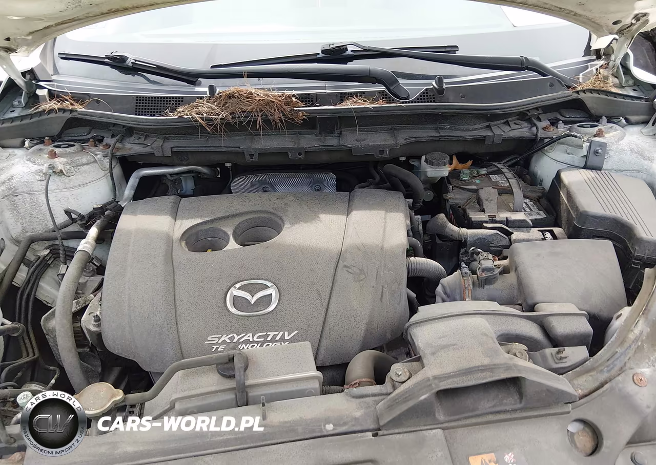 2015 Mazda Cx-5 Touring VIN:JM3KE4CY8F0457772 - 10