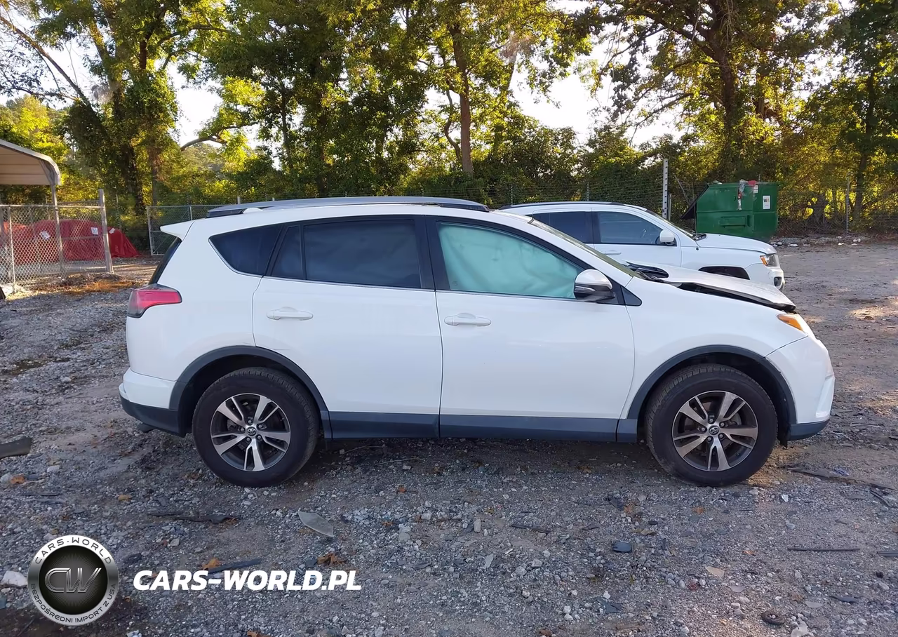 2018 Toyota Rav4 Xle VIN:2T3WFREVXJW484029 - 13
