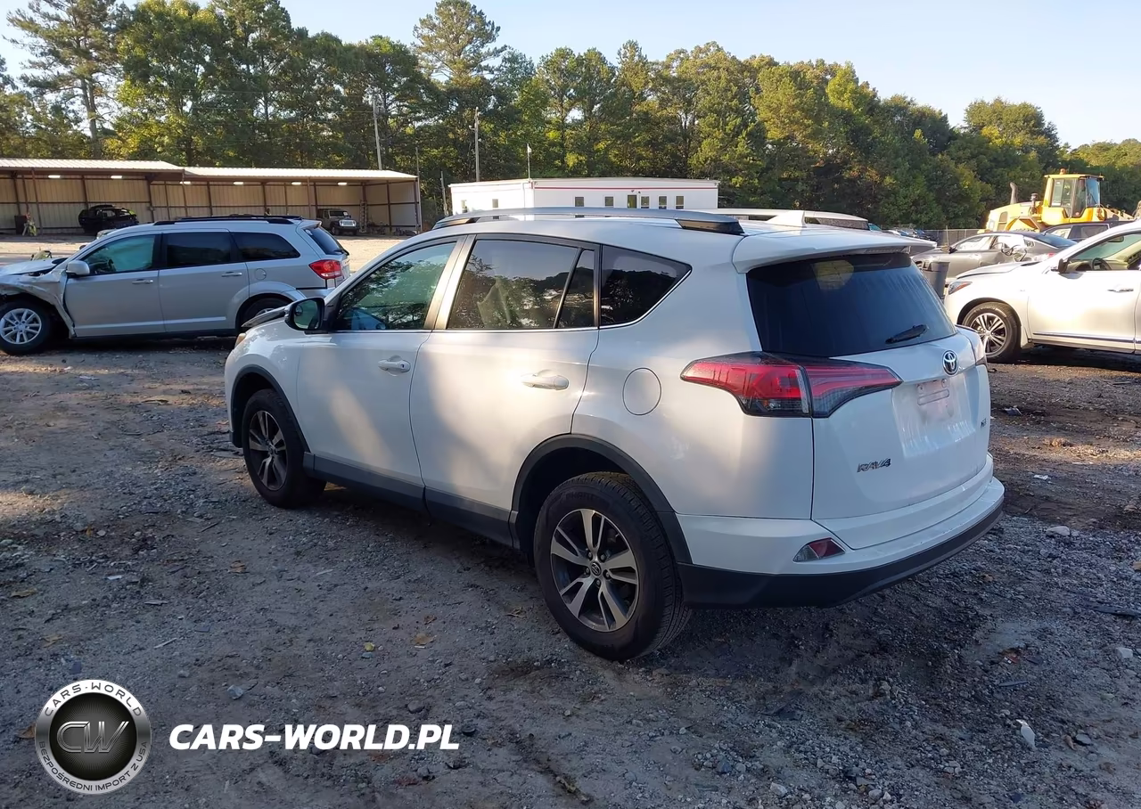 2018 Toyota Rav4 Xle VIN:2T3WFREVXJW484029 - 3