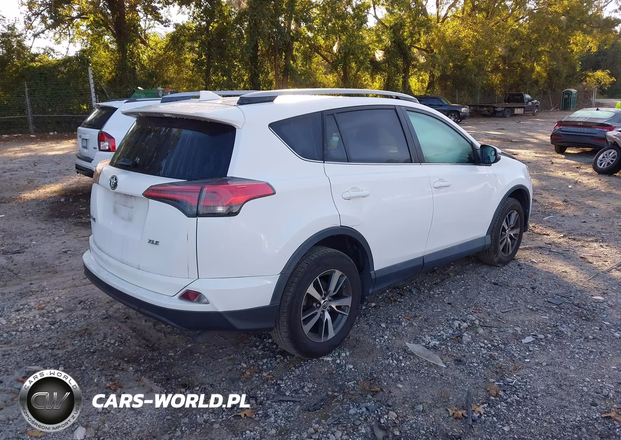 2018 Toyota Rav4 Xle VIN:2T3WFREVXJW484029 - 4