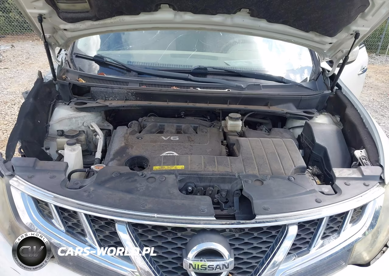 2014 Nissan Murano Sv VIN:JN8AZ1MU3EW418154 - 10