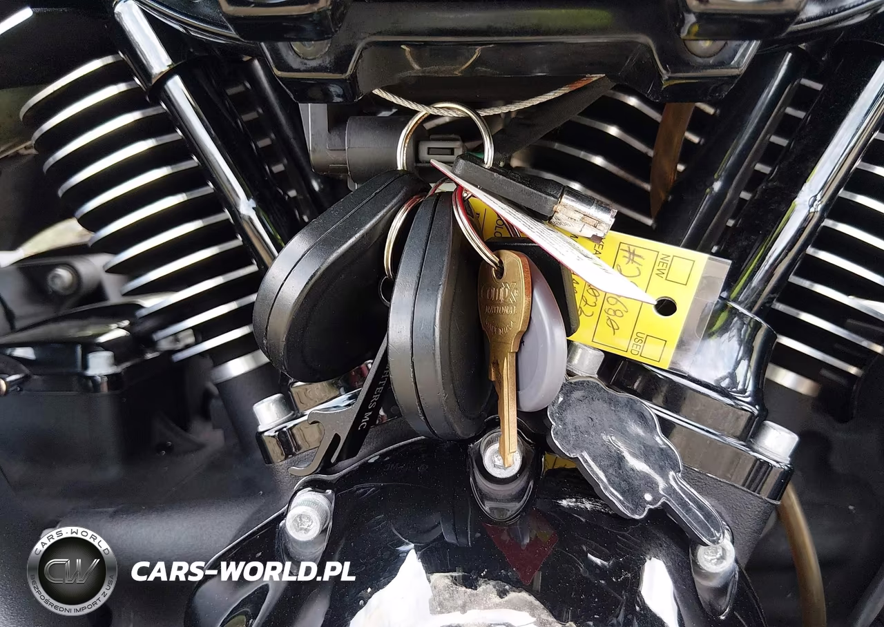 2019 Harley-Davidson Fltrxs VIN:1HD1KTP1XKB618768 - 11