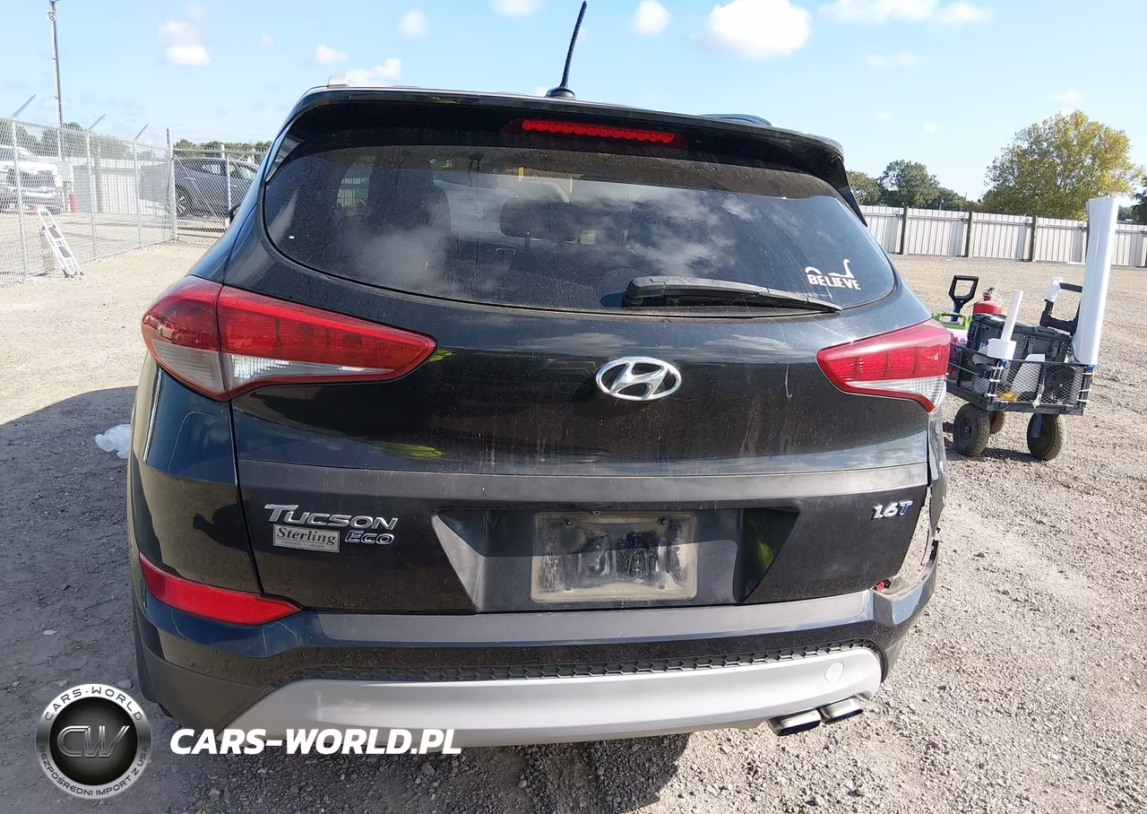 2017 Hyundai Tucson Eco VIN:KM8J33A2XHU308824 - 16