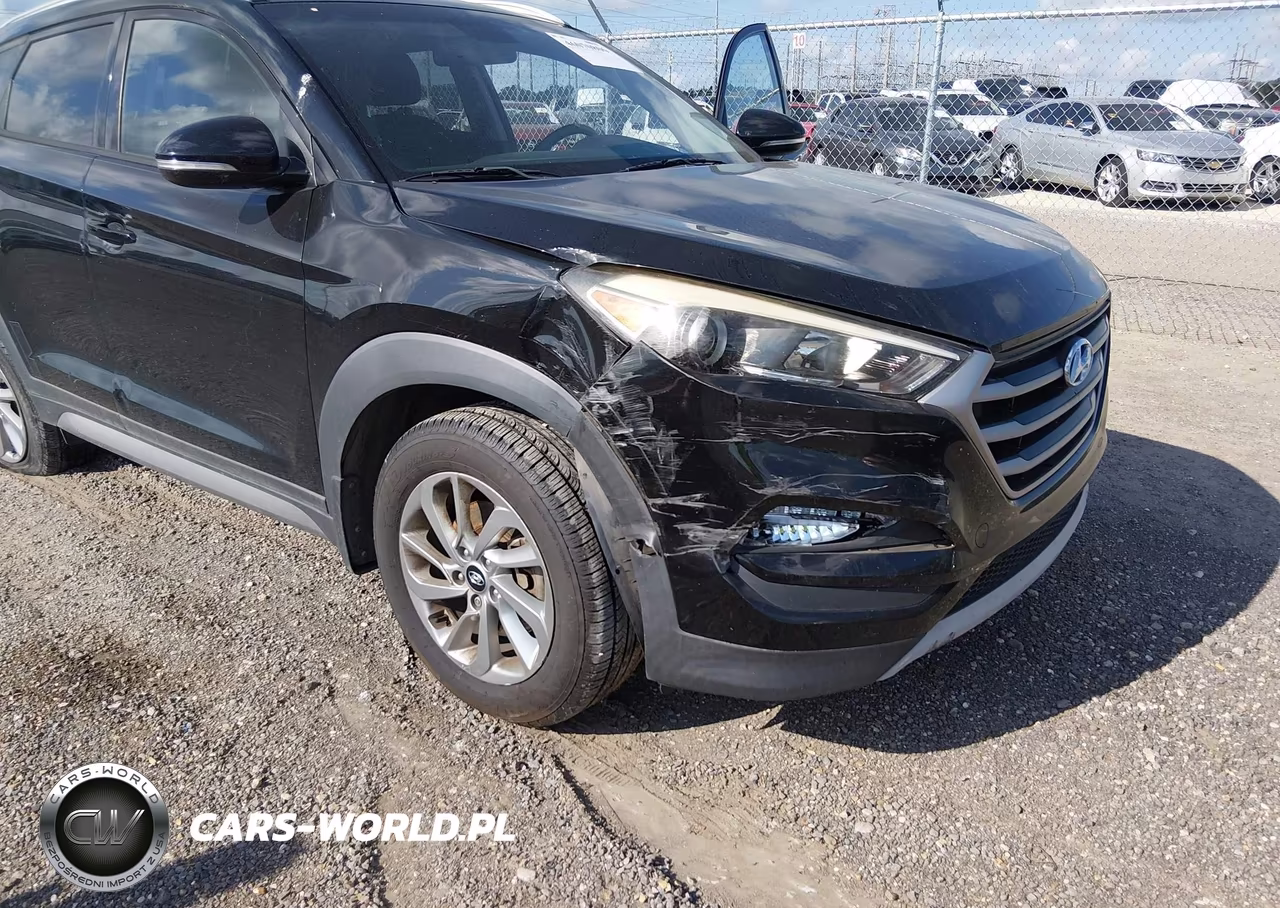 2017 Hyundai Tucson Eco VIN:KM8J33A2XHU308824 - 17