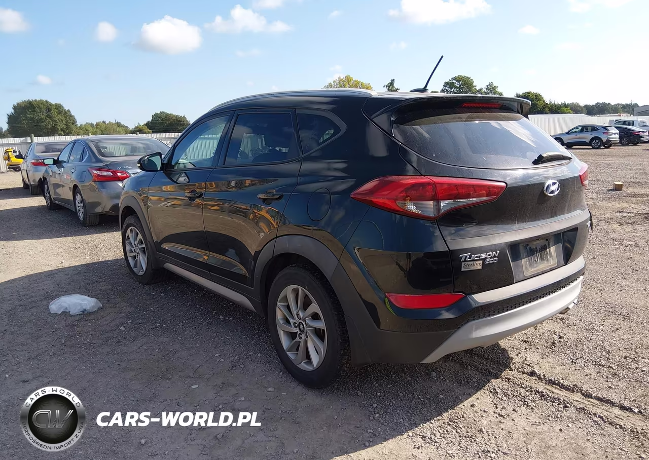 2017 Hyundai Tucson Eco VIN:KM8J33A2XHU308824 - 3