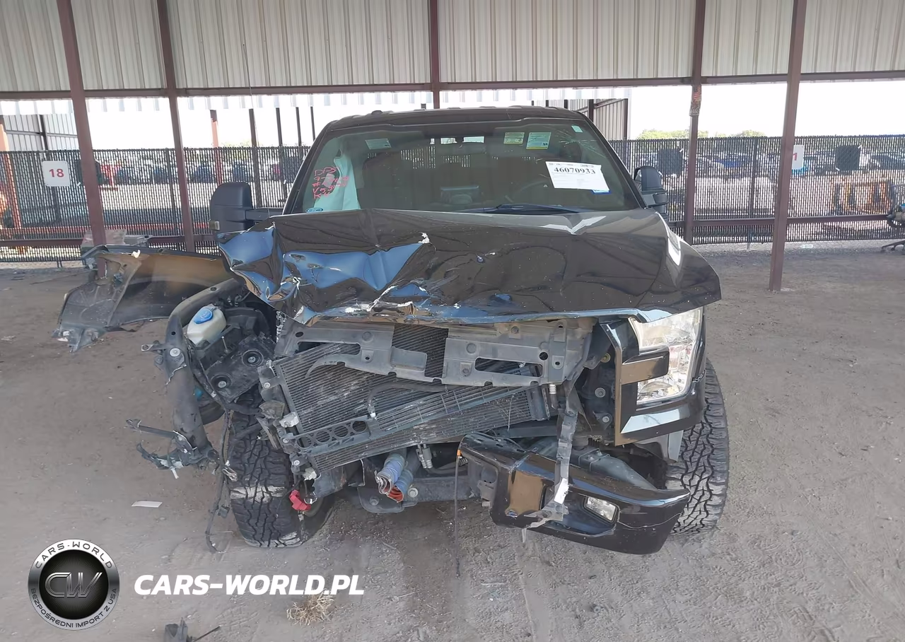 2017 Ford F-150 Xl VIN:1FTEW1CP0HKD53194 - 11