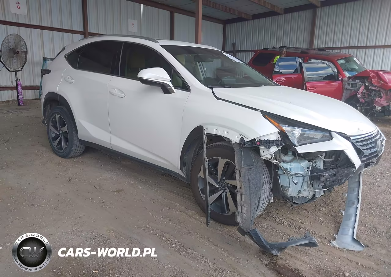 2018 Lexus Nx 300 VIN:JTJYARBZ2J2087631 - 1