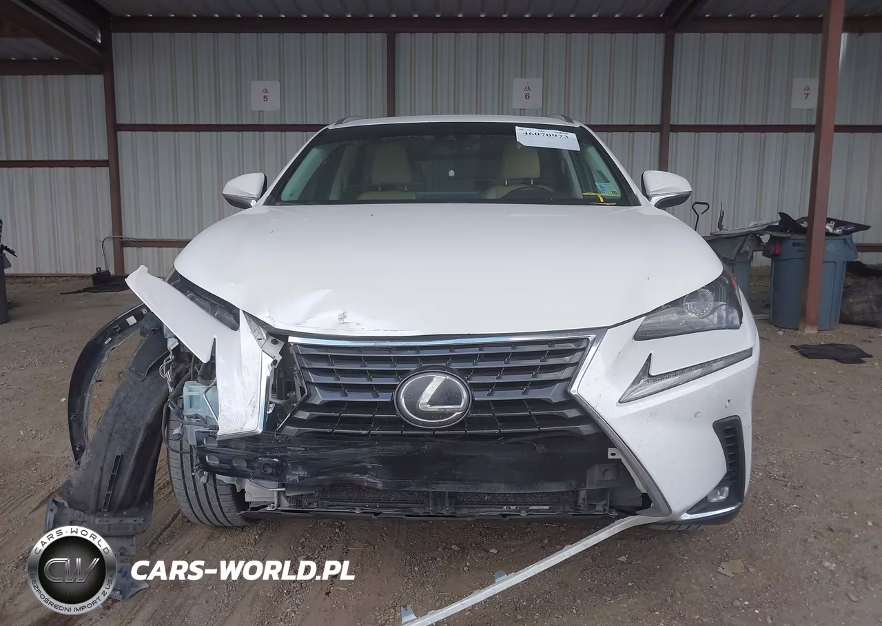 2018 Lexus Nx 300 VIN:JTJYARBZ2J2087631 - 12