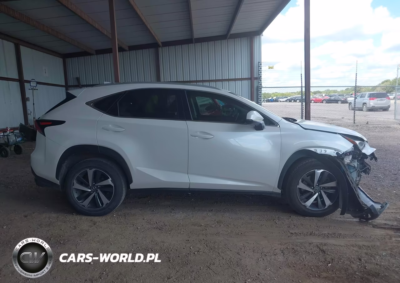 2018 Lexus Nx 300 VIN:JTJYARBZ2J2087631 - 13