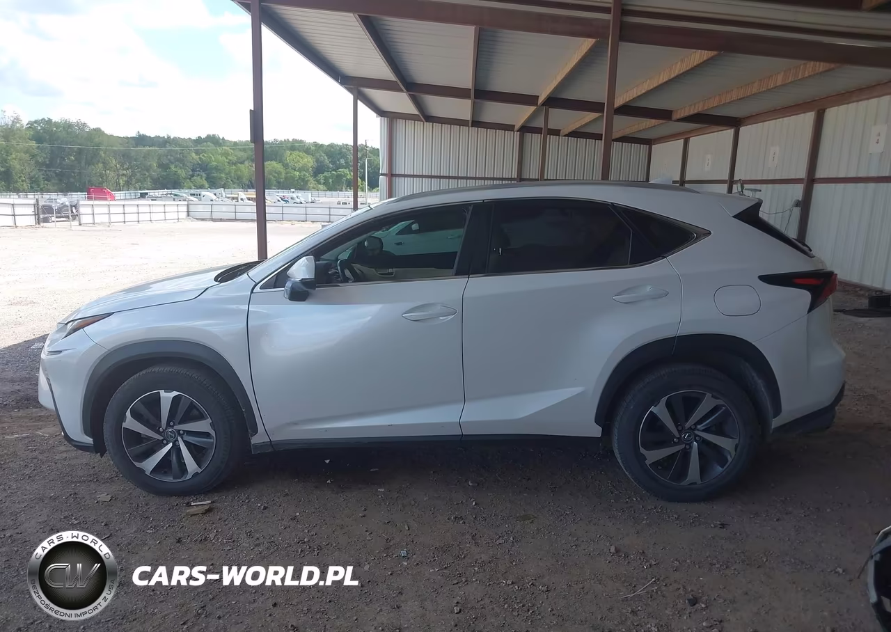 2018 Lexus Nx 300 VIN:JTJYARBZ2J2087631 - 14