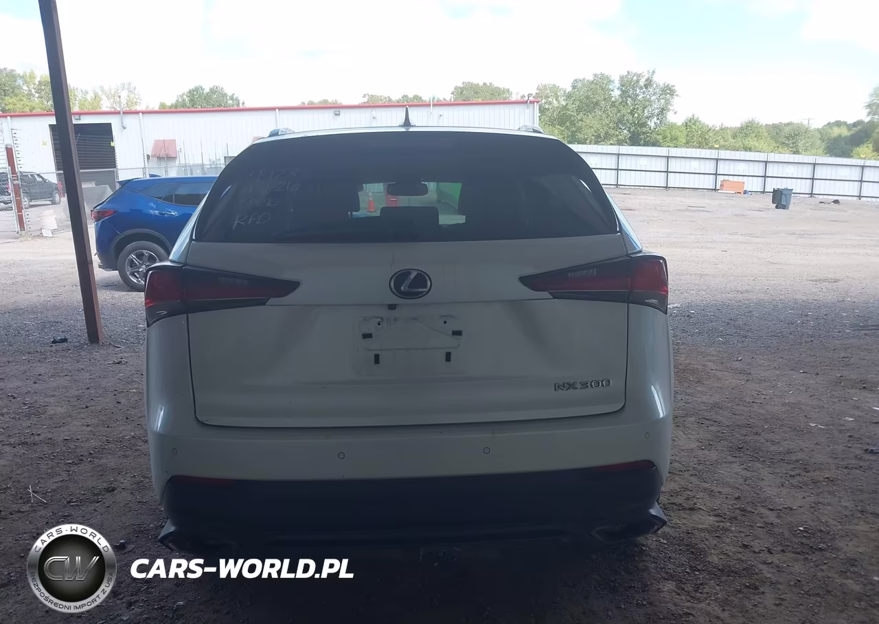 2018 Lexus Nx 300 VIN:JTJYARBZ2J2087631 - 16