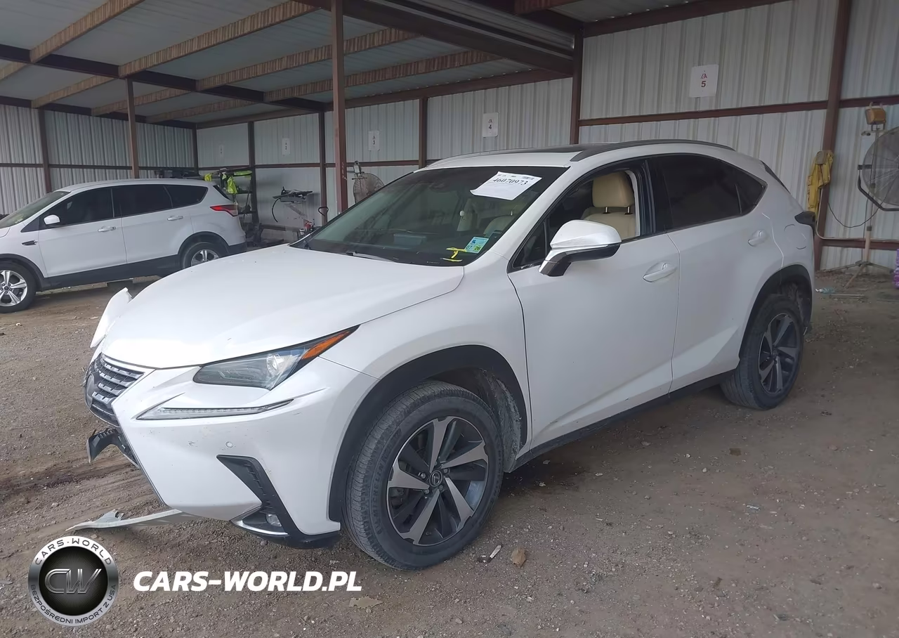 2018 Lexus Nx 300 VIN:JTJYARBZ2J2087631 - 2