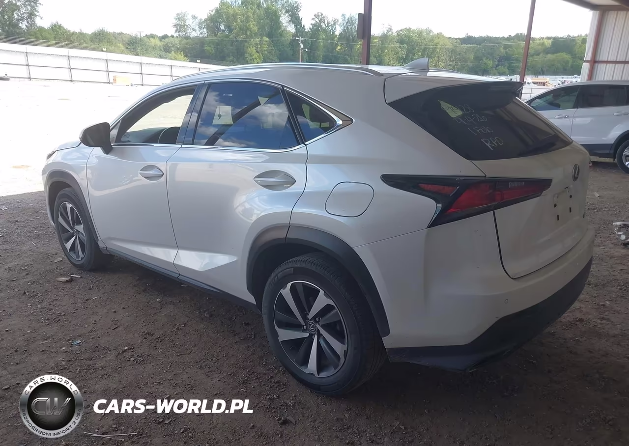 2018 Lexus Nx 300 VIN:JTJYARBZ2J2087631 - 3