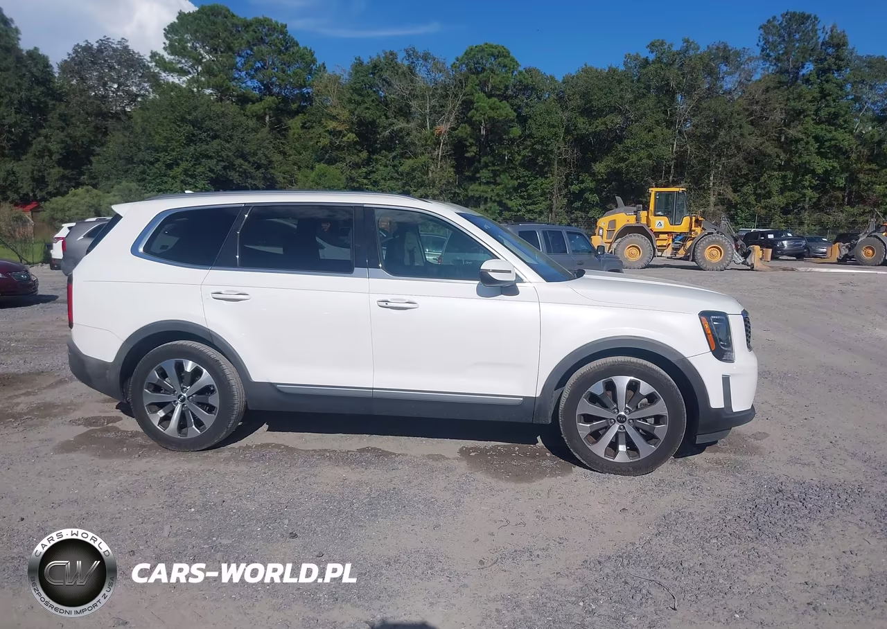 2020 Kia Telluride S VIN:5XYP64HC6LG033540 - 13
