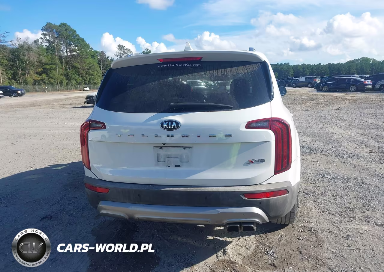 2020 Kia Telluride S VIN:5XYP64HC6LG033540 - 16