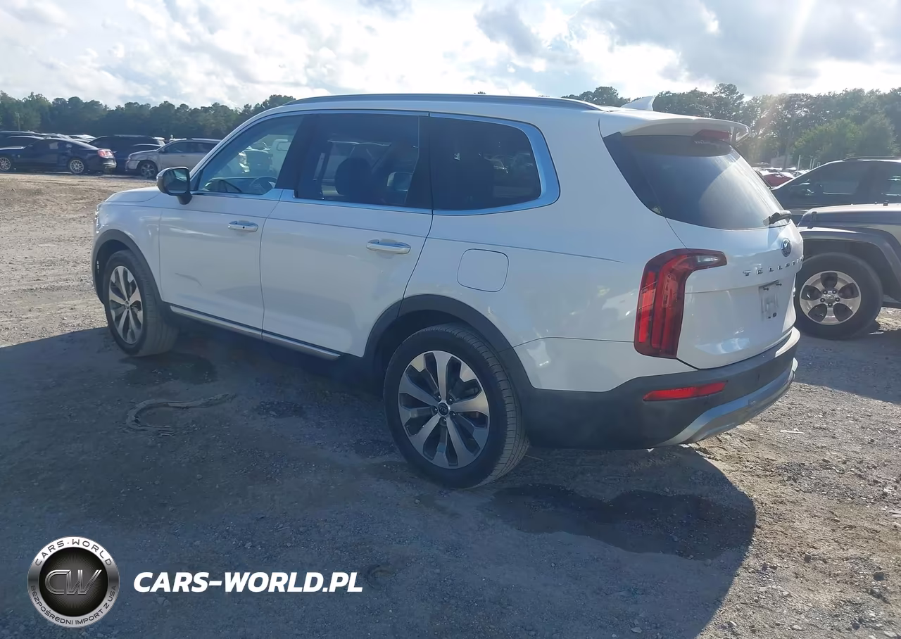 2020 Kia Telluride S VIN:5XYP64HC6LG033540 - 3