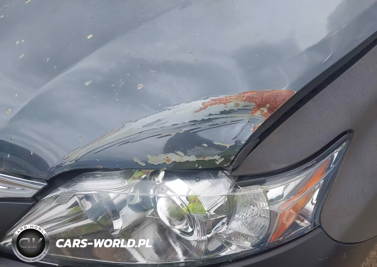 2010 Lexus Rx 350 VIN:2T2ZK1BA8AC004846 - 17