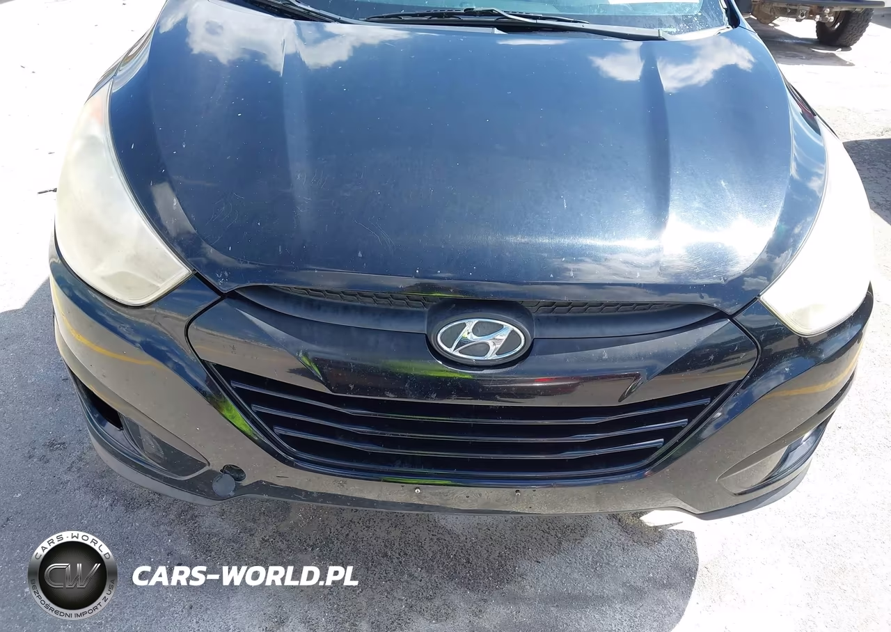 2010 Hyundai Tucson Gls VIN:KM8JT3AC3AU050323 - 6
