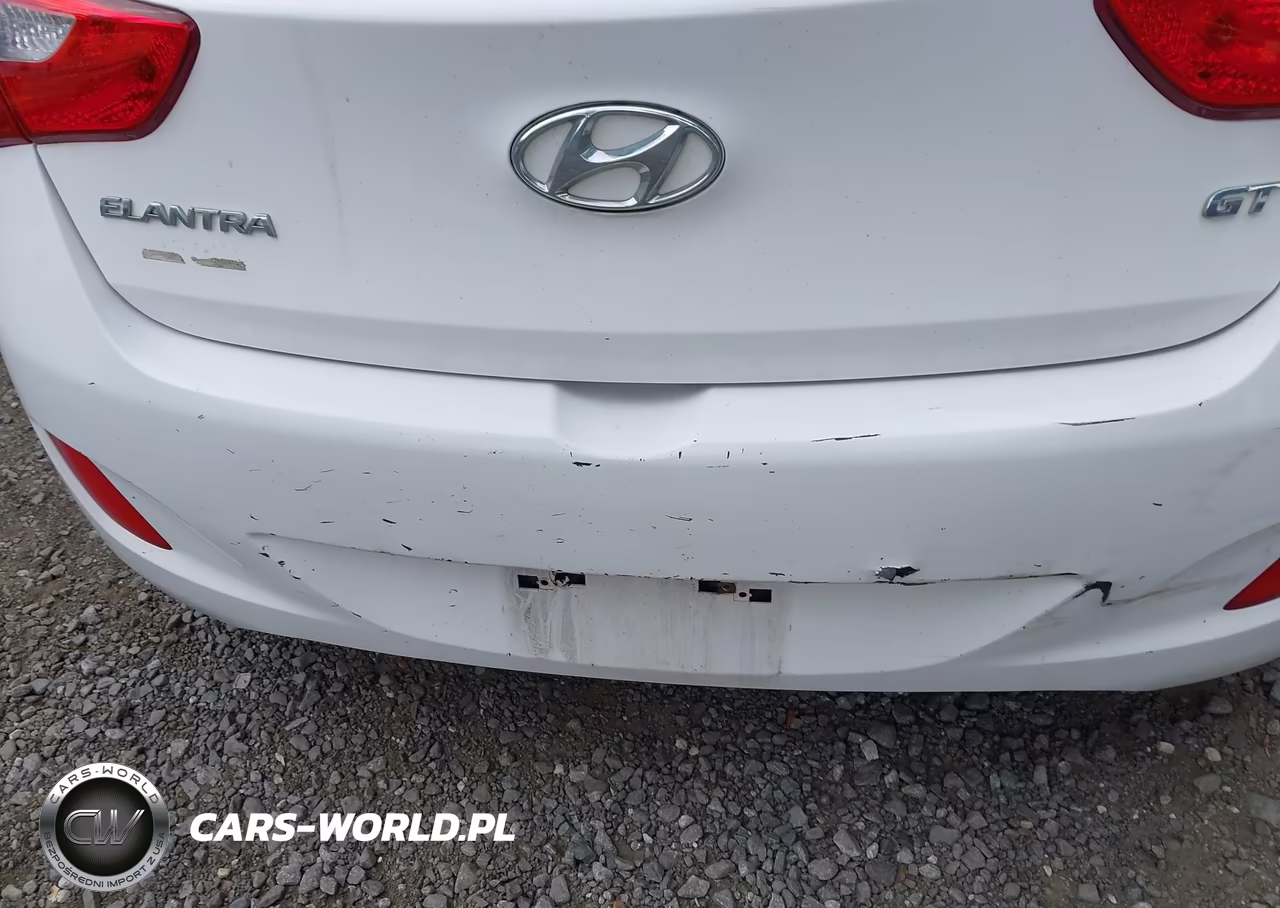 2014 Hyundai Elantra Gt VIN:KMHD35LH4EU211155 - 13