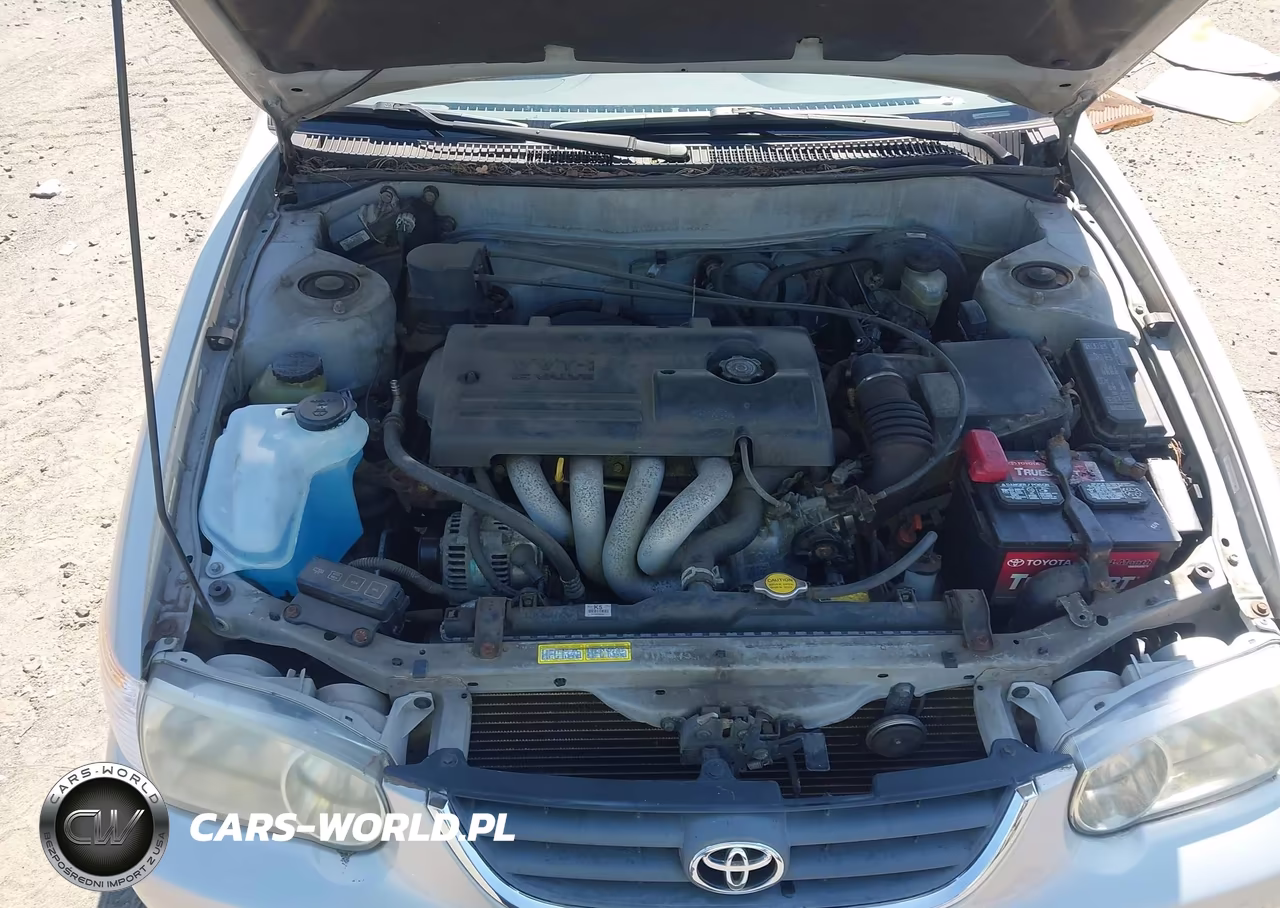 2002 Toyota Corolla Le VIN:1NXBR12E42Z628440 - 10