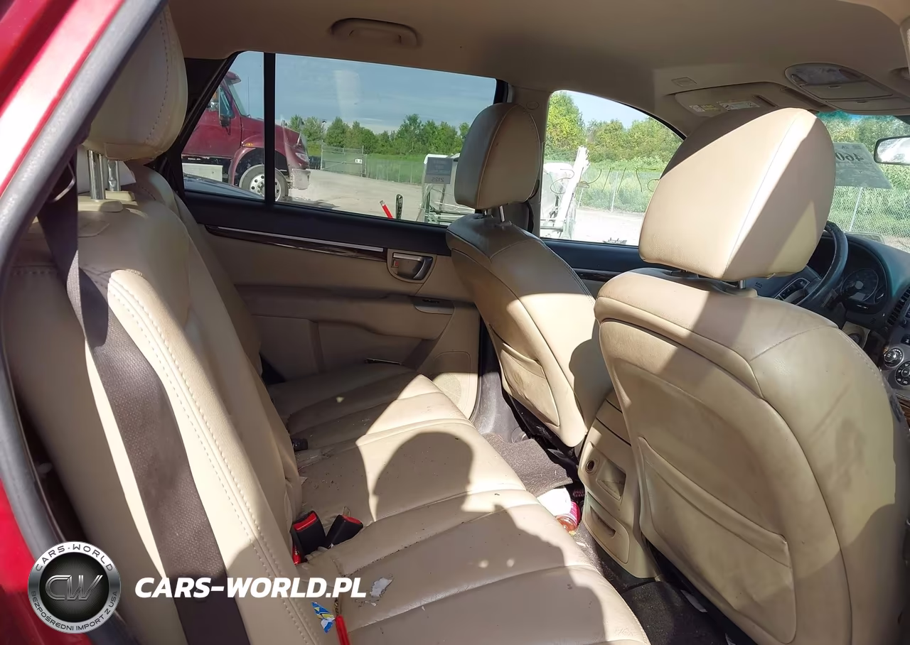 2010 Hyundai Santa Fe Gls VIN:5NMSGDAB5AH375153 - 8