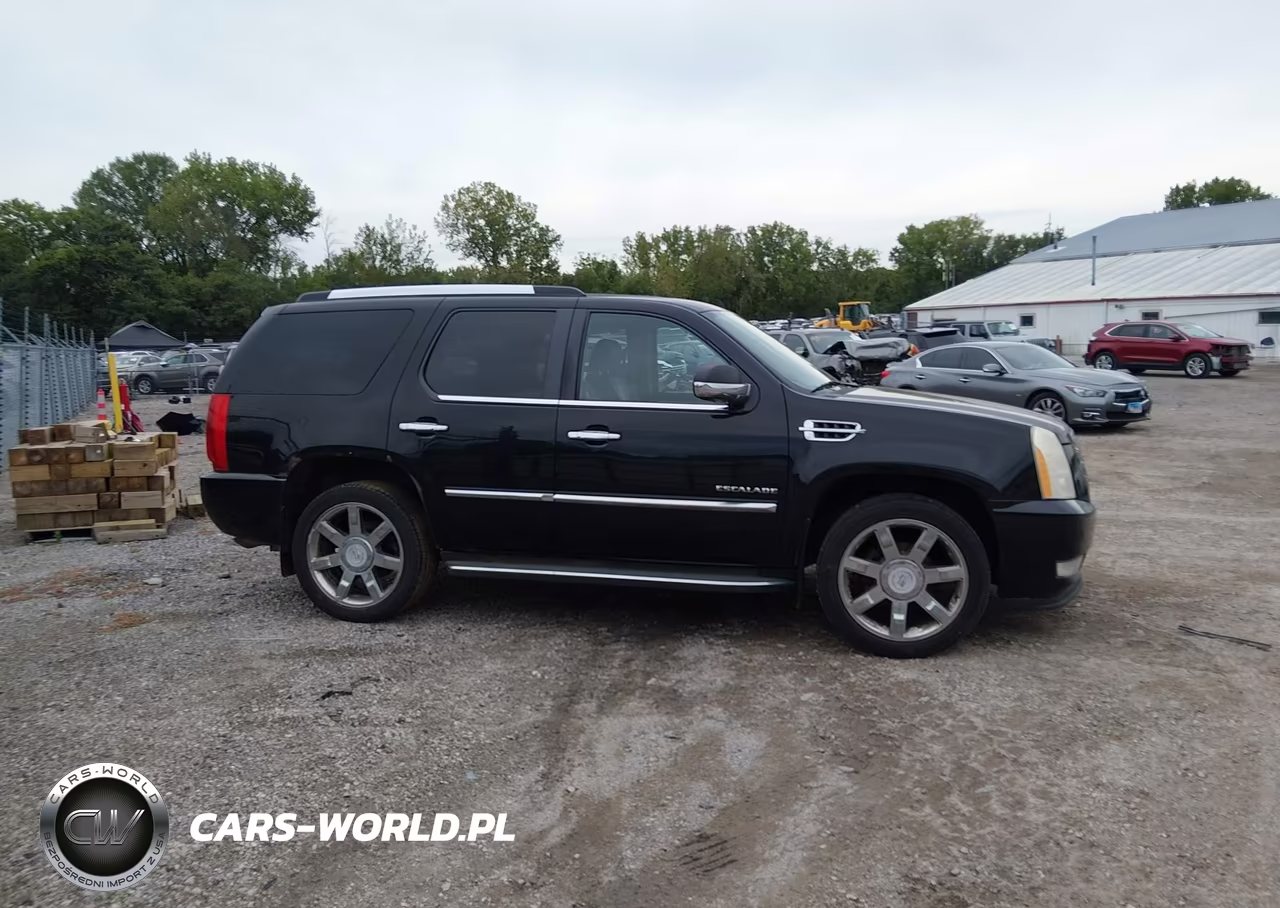 2010 Cadillac Escalade Luxury VIN:1GYUKBEF2AR157671 - 14