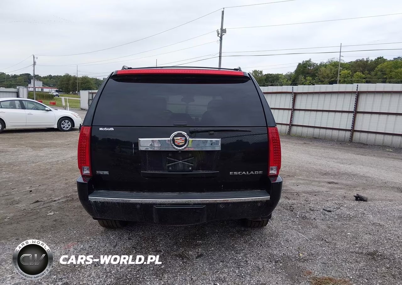 2010 Cadillac Escalade Luxury VIN:1GYUKBEF2AR157671 - 17