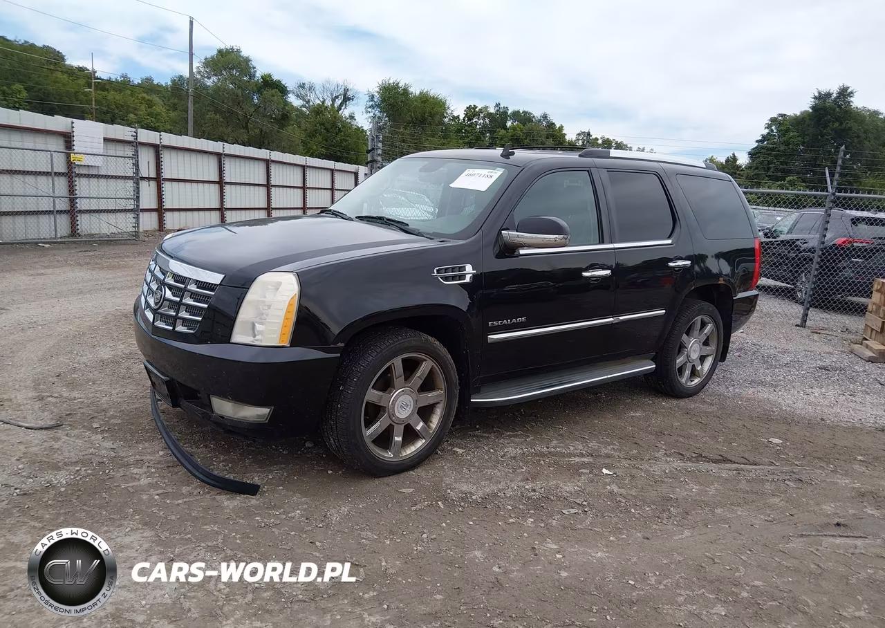 2010 Cadillac Escalade Luxury VIN:1GYUKBEF2AR157671 - 2