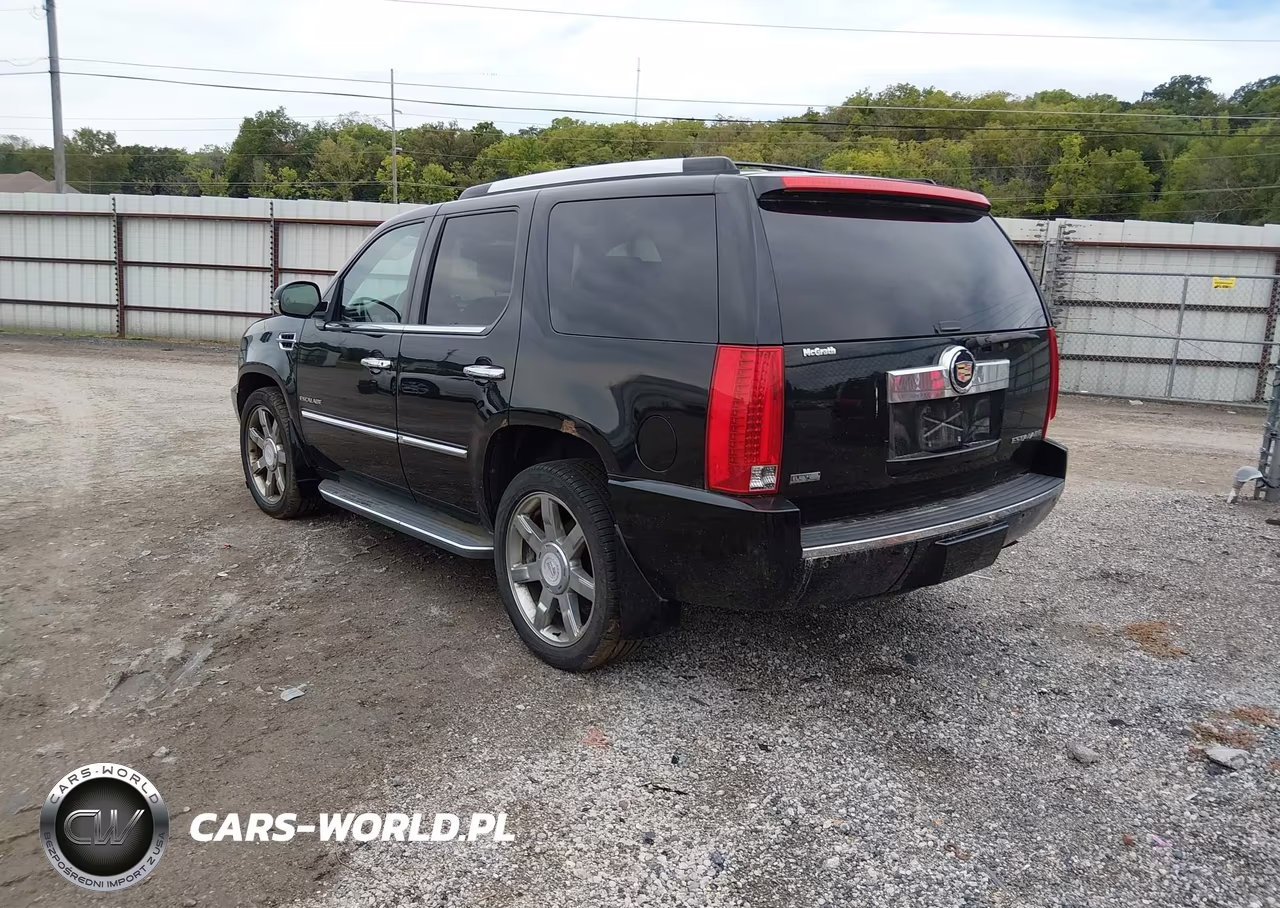2010 Cadillac Escalade Luxury VIN:1GYUKBEF2AR157671 - 3