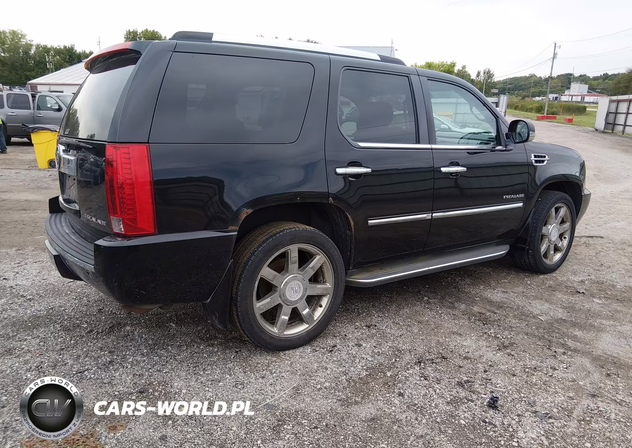 2010 Cadillac Escalade Luxury VIN:1GYUKBEF2AR157671 - 4