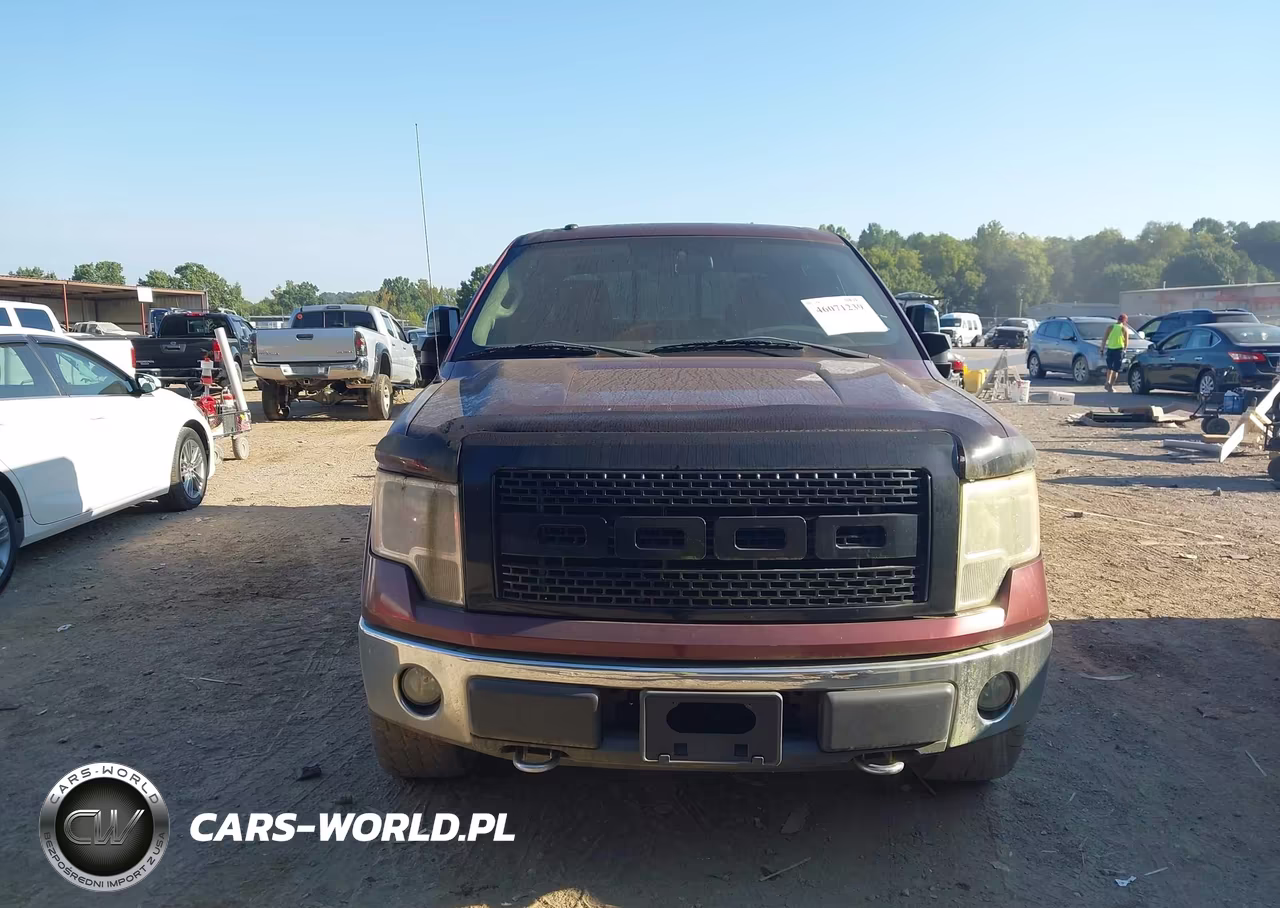 2009 Ford F-150 Fx4-King Ranch-Lariat-Platinum-Xl-Xlt VIN:1FTPW14V29FB39534 - 12