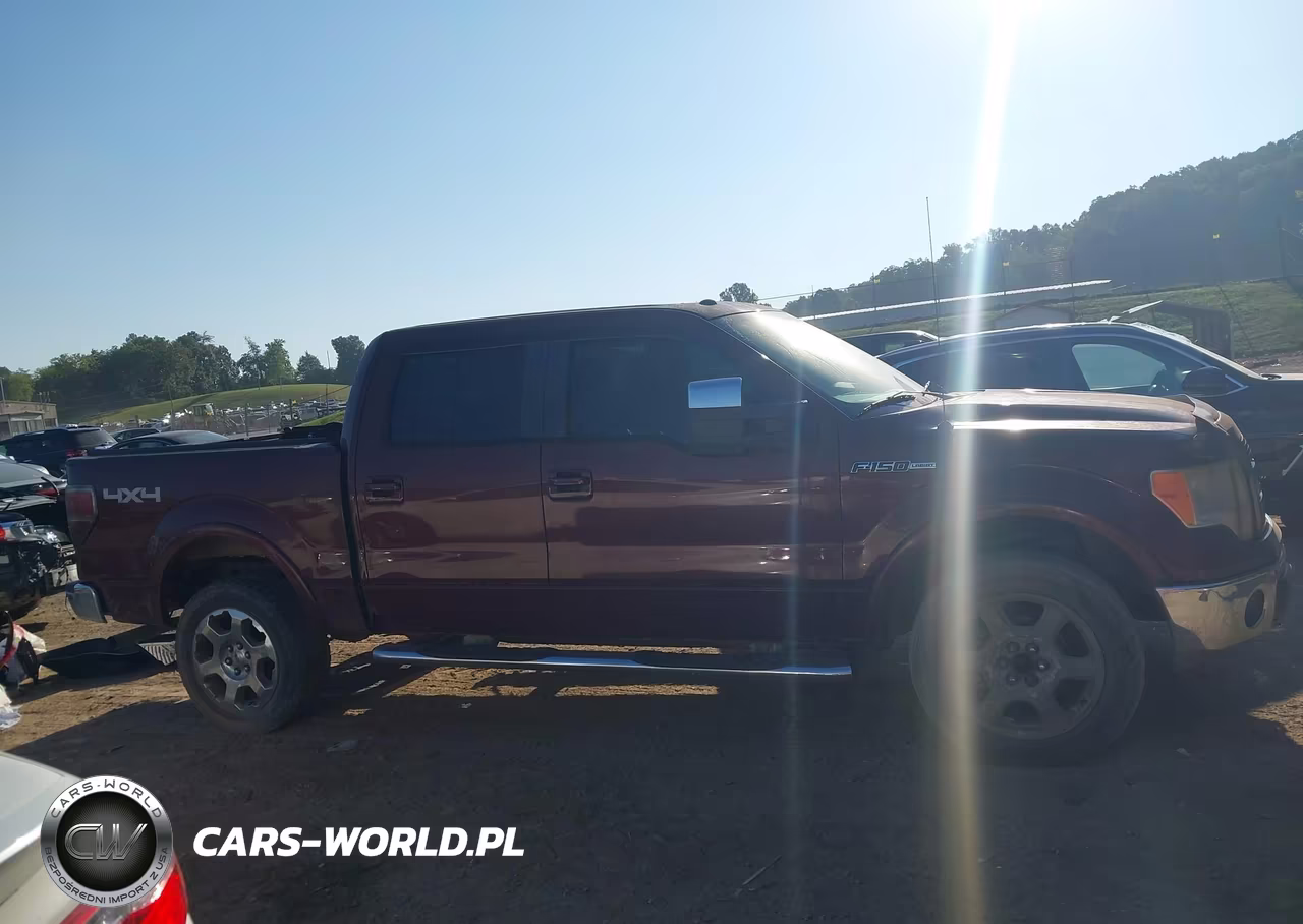 2009 Ford F-150 Fx4-King Ranch-Lariat-Platinum-Xl-Xlt VIN:1FTPW14V29FB39534 - 13