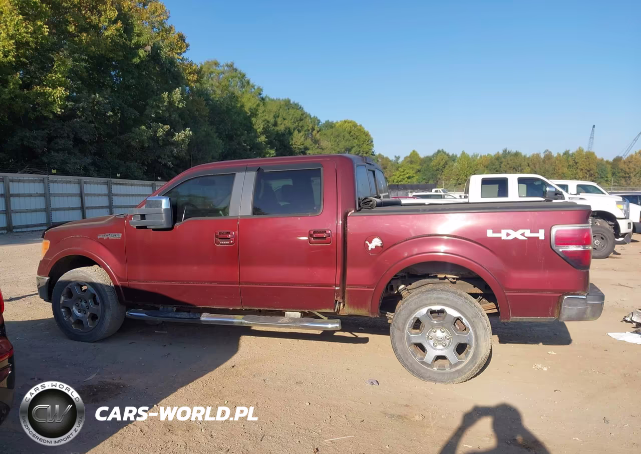 2009 Ford F-150 Fx4-King Ranch-Lariat-Platinum-Xl-Xlt VIN:1FTPW14V29FB39534 - 14