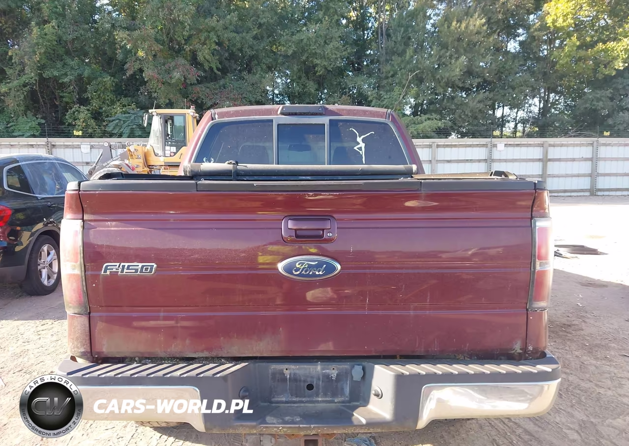 2009 Ford F-150 Fx4-King Ranch-Lariat-Platinum-Xl-Xlt VIN:1FTPW14V29FB39534 - 16